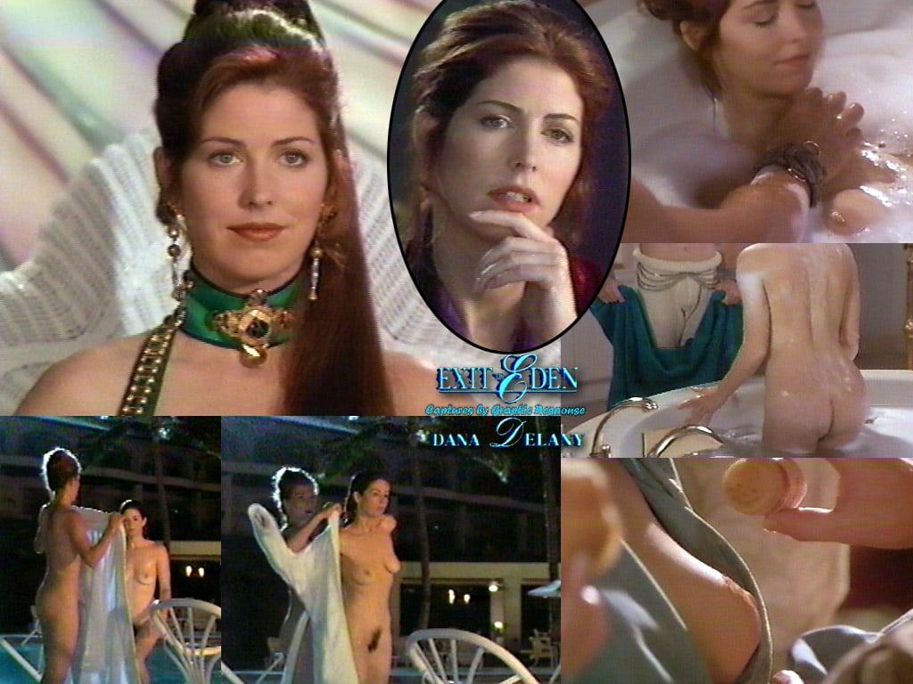 Dana Delany 18